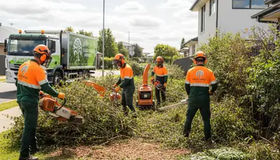 Professional shrub removal service in Denver, CO clearing overgrown bushes and landscape debris