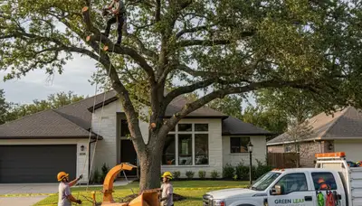 Professional tree removal by licensed arborists in Denver, CO
