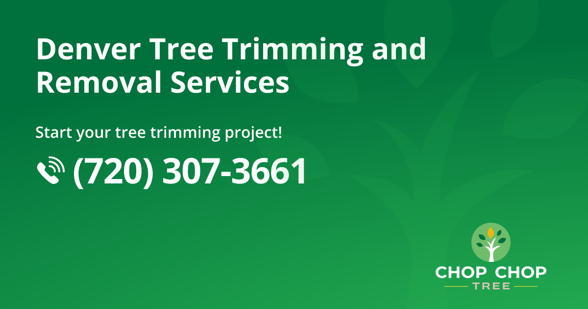 Denver Tree Removal and Tree Care Services | Chop Chop Tree